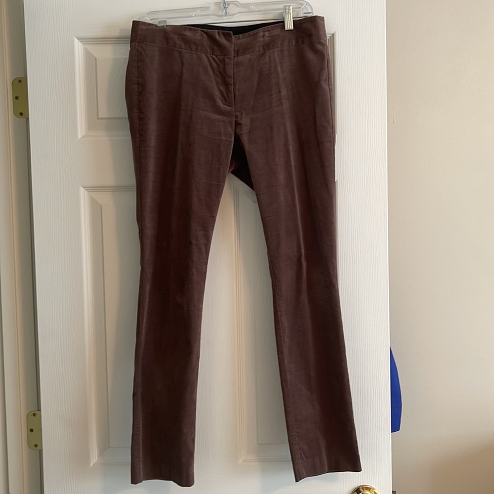 Loft velvet brown 6P Marisa Skinny Pant - Picture 5 of 5